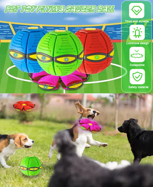 Magic Flying Saucer Ball | Magic UFO Dog Ball