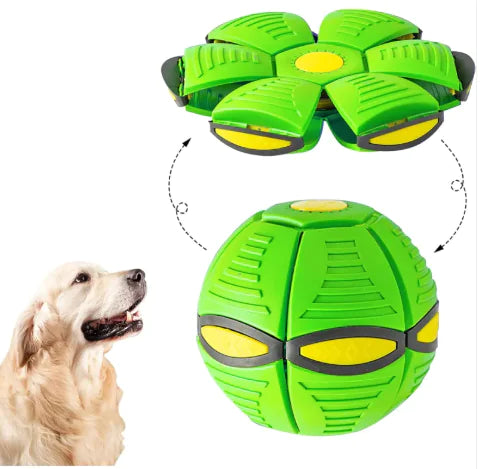 Magic Flying Saucer Ball | Magic UFO Dog Ball
